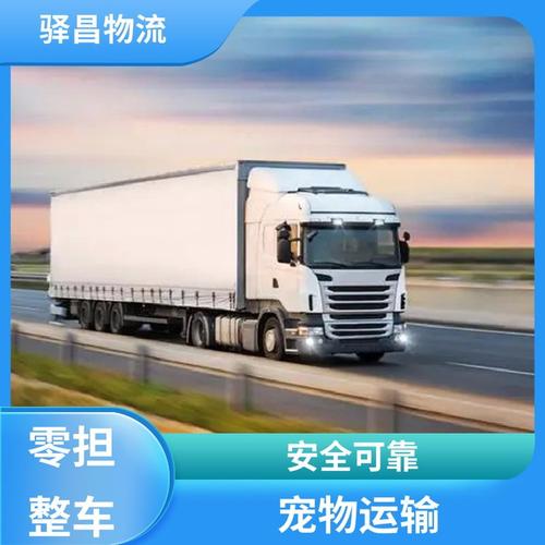 快速貨運(yùn)圖片快速貨運(yùn)圖片大全