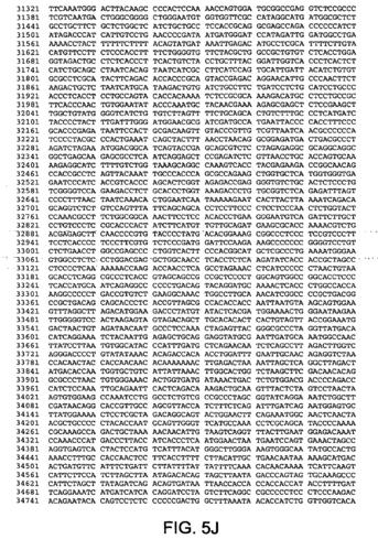 貨運(yùn) imp代碼貨運(yùn)imp代碼